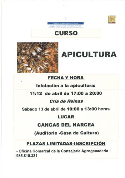 Cartel Curso Apicultura