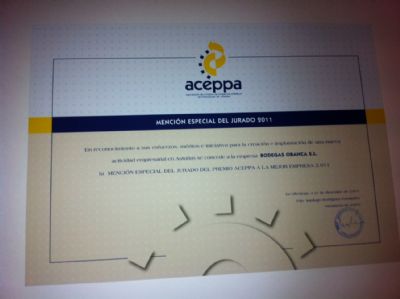 Diploma Acreditativo Mencin Especial Jurado